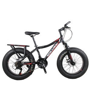 Bicicleta de Montaña de 20 Pulgadas con Portaequipajes Trasero Integrado, Neumáticos Anchos, Cuadro de Acero al Carbono, Horquilla con Resorte, Frenos de Disco Dobles, Capacidad de Carga de 150 kg - Product Image 1