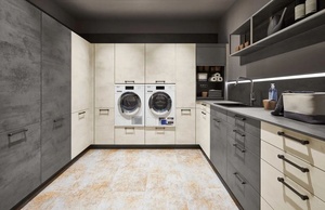 Armoire de buanderie moderne <span class=keywords><strong>au</strong></span> design personnalisé avec <span class=keywords><strong>machine</strong></span> <span class=keywords><strong>à</strong></span> <span class=keywords><strong>laver</strong></span> - Product Image 6