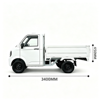Camionnette électrique économique avec lecteur MP5, conduite à gauche, véhicule de service municipal pour le Qatar