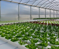 Plateau de germination flottant personnalisé pour l'agriculture hydroponique Microgreen Plateau thermoformé pour le formage sous vide