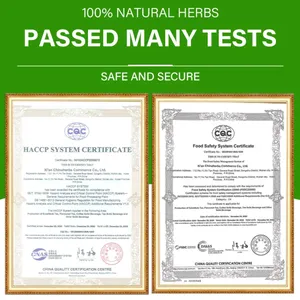 Té Herbal Premium Chinaherbs, Orgánico, 14 Días, Apoyo para un Vientre Plano, Desintoxicación Natural y Bienestar Digestivo, Té para Bajar de Peso - Product Image 4