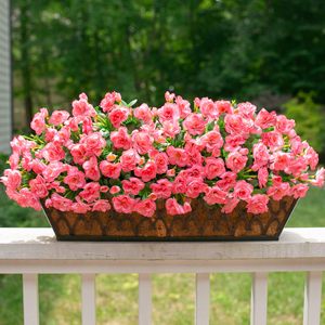 Pétales artificiels en polyester et soie, type chrysanthèmes boutonnés, pour décoration <span class=keywords><strong>de</strong></span> brouette, arrosoir, <span class=keywords><strong>bain</strong></span> d'oiseaux, mangeoire et statues - Product Image 2