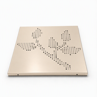 Panneau de plafond suspendu en aluminium perforé OEM d'usine, dalles de faux plafond en métal pour la décoration d'hôtels, bureaux et centres commerciaux