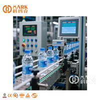 Ligne de production entièrement automatique de machine de remplissage d'eau minérale pure potable en bouteille avec solutions sur mesure