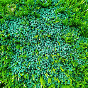 Bóng Đá Cỏ hạt cao su infill cho nhân tạo Turf hệ thống bóng đá Turf - Product Image 2