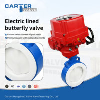 Válvula de Mariposa Manual Revestida de PTFE, FEP, PFA, de Hierro Dúctil, Tipo Lug, IP67, para Tratamiento de Agua, ANSI B16.5, Personalizada