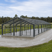 Nave Avícola de Estructura de Acero para Granja de Pollos, con Techo de Paneles Solares y Ventilación, Diseño a Medida
