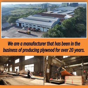 Madera Contrachapada de Eucalipto Malasio de 18 mm en Oferta, con Estándares de Emisión de Formaldehído E0 para Decoración de Hoteles - Product Image 3