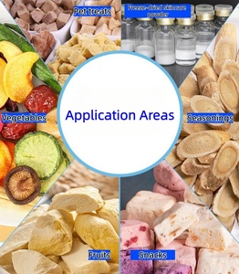 Pequeño liofilizador/liofilizador-Frutas secas de alto valor, liofilizador de hierbas para el hogar Liofilizador de <span class=keywords><strong>8</strong></span> <span class=keywords><strong>kg</strong></span> a la venta Marca NP - Product Image 2