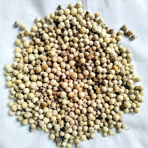Pimienta Blanca India Fresca y Natural, Especias Enteras de Primera Calidad Seleccionadas para Importadores Globales, Procesadores de Alimentos y Proveedores Gourmet - Product Image 1