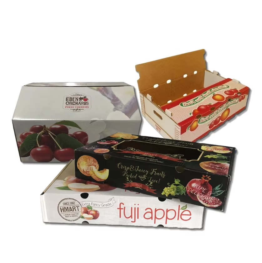 custom printed paper food tray