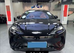 BYD Sea Lion 07 del 2026 Usata in Ottime Condizioni - Product Image 4