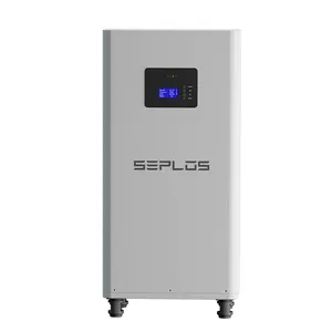 Seplos DIY Batterie 51,2 V Box Kit Lithium-Ionen 280Ah 300Ah MASON Power 10KWH 16 S1P