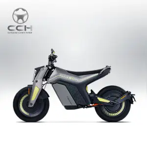 Usine directement fournir classique 2024 Naxeon je suis moto de vélo de sport électrique haute Performance pour adultes