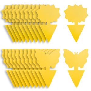Trappola per Insetti Volanti, Adesiva Gialla per Moscerini della Frutta, Zanzare, Mosche della Muffa e Insetti Volanti - Product Image 1