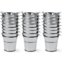 Seaux en métal galvanisé avec poignée Décorations Seaux Jardinière pour plantes succulentes Fête Pot rustique Rangement pour crayons