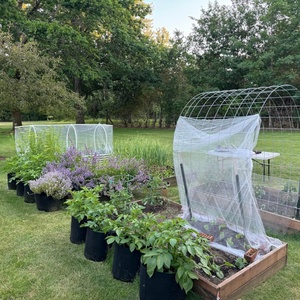 רשת הגנה לגינה נגד חרקים וציפורים מפלסטיק HDPE+ UV, רשת ארוגה בהזרקה - Product Image 2