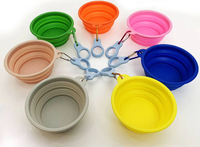 Bol d'eau pliable pour chien, portable, étanche, extensible, moderne, en silicone solide, pour l'intérieur et l'extérieur
