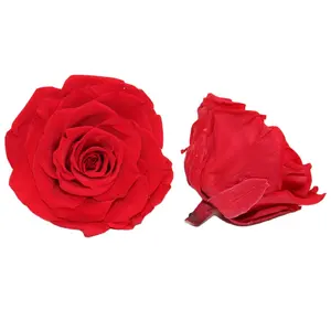 Rose stabilizzate fleur de mariage rose stabilizzate 4-5cm dropshipping langlebige rosen anganhaltende rosen