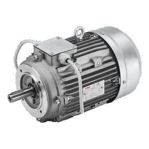 Moteur à fréquence variable triphasé Elvem, classe d'isolation F, équipement industriel - Product Image 4