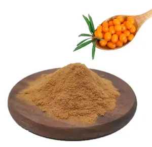 High Quality Organic Sea Buckthorn Powder Extract Organic Pure Sea Buckthorn Juice Powder