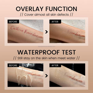 Vente en gros 3 couleurs nourrissant hydratant couvrant tout le visage léger éclaircissant teint BB coussin crème - Product Image 5