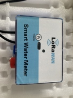 Excellent compteur d'eau numérique à ultrasons en laiton IP68 Lora/LoraWan/NB-IoT OEM avec garantie de 12 mois