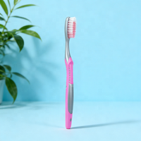 Brosse à dents en plastique colorée antidérapante pour adultes, vente en gros, brosse à dents pour le nettoyage buccal avec nettoyeur de langue