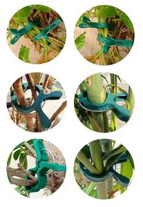 Serre en plastique jardin plante support clips branche <span class=keywords><strong>vigne</strong></span> titulaire Légumes Tomate Clip Greffage Clip - Product Image 6