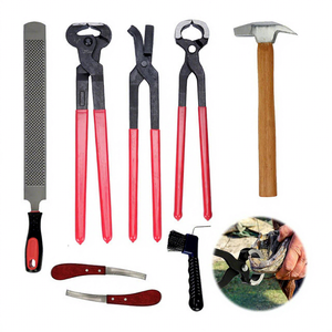 Kit de Herramientas Veterinarias Profesionales Reutilizables de Acero Inoxidable Alemán Personalizable para el Cuidado de Pezuñas de Caballos, Herramienta Resistente para Recortar Pezuñas - Product Image 1