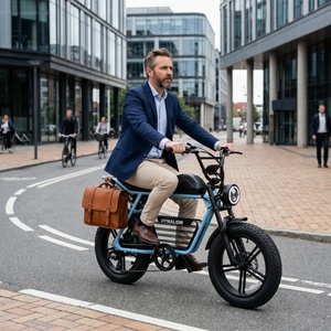 Vélo électrique à pneus larges de 20 pouces avec frein à disque hydraulique, vélo tout-terrain avec pédales pliables pour les voyages d'aventure en plein air - Product Image 5