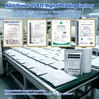 Poudre de transfert DTF personnalisée ODM/OEM pour emballage, adhésif thermofusible copolyester pour ateliers d'impression en gros