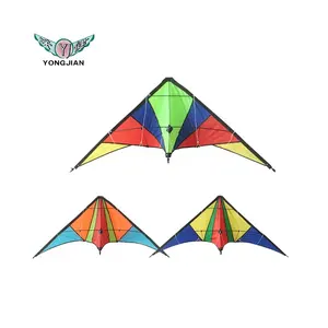 Gemakkelijk Vliegen Nieuwe Ontwerp Kleurrijke Delta Kite Voor Koop Stunt Kite