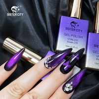 Vernis Gel Effet Magnétique Œil de Chat, Couche de Finition Longue Durée, Base Coat, Sans Résidu, Adhérence Forte, Nail Art Professionnel
