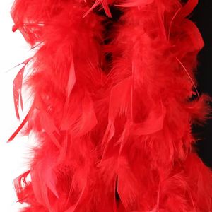 <span class=keywords><strong>2</strong></span> Yards 90 Grammes Boa en Plumes de Dinde Teintes pour Mariage, Artisanat, Fête, Déguisement, Halloween, Carnaval, Noël, Pâques, Festival de <span class=keywords><strong>Cannes</strong></span> - Product Image 5