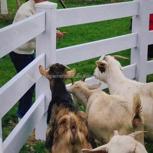 <span class=keywords><strong>2</strong></span> рельсы 3 рельсы квадратные рельсы рельсовые ограждения ПВХ уличные фермерские ограждения панели Белый виниловый забор - Product Image 5