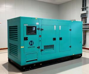 Générateur silencieux Ricardo Perkins monophasé 240V 50Hz/60Hz 16kW 20kW 25kVA 30kVA 40kW 50kW 60kW 80kW - Product Image 2