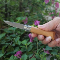 Couteau utilitaire pliant portable à ouverture manuelle avec verrouillage à anneau, couteau à fruits, manche en bois de hêtre, couteau de survie pour le camping en plein air, couteau de poche EDC