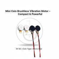 Moteur vibrant à monnaie BLDC 0625 6x2.5mm 3V DC, micro-moteur vibrant plat sans balais, longue durée de vie, faible courant, mini-vibrateur