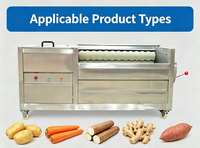 Voedselveilige SUS304 borstelrolwasser schiller automatische groente- en fruitwasmachine schilmachine motor voor verwerkingslijn