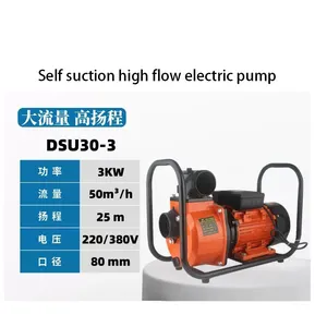 Pompe à eau <span class=keywords><strong>domestique</strong></span> auto-amorçante à haut débit 220V, pompe de surpression pour l'alimentation en eau <span class=keywords><strong>domestique</strong></span> et l'irrigation - Product Image 4