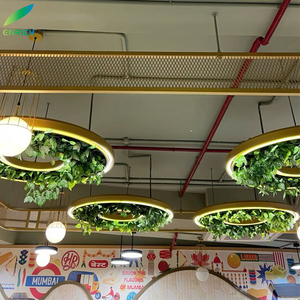 Plante LED Anneau Lumière Sonore Absorbable Combinaison Cercle Rond Verseau Acoustique LED Pendentif Lustre Lumière - Product Image 4