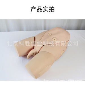 Modèles avancés de cathétérisme masculin et féminin ; modèles de formation au cathétérisme ; pratique des opérations de drainage de la fistule ; pratique de la drainage fessier - Product Image 5