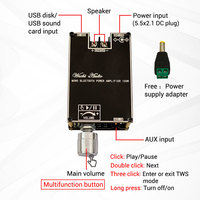 WUZHI AUDIO ZK-1001B Amplificateur de son mono 100W Module audio 100W TWS TPA3116D2 AUX USB APP