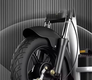 N° 1 du classement des meilleures ventes annuelles pour les vélos <span class=keywords><strong>électrique</strong></span>s. Volume d'exportation cumulé de 100 000 unités - Product Image 6