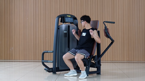 Strength Training Pin Loaded Chest <strong>Press</strong> Gym Equipment A002 Pectoral <strong>Fly</strong> Machine Pef <strong>Fly</strong> for Gym Use - Product Image 2