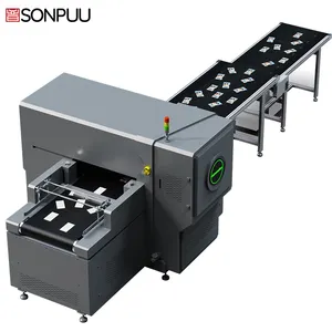 UV printer automatic assembly line industrial-grade large high-definition pattern visual positioning inkjet coloring press