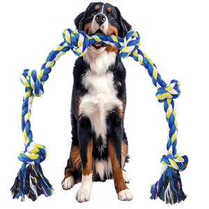 Jouets à mâcher pour chiens en corde de coton écologique, indéchirables, pour le nettoyage des dents et le soulagement de l'anxiété, pour mâcheurs agressifs, vente en gros OEM ODM - Product Image 1