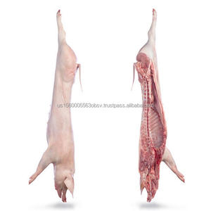 Carcasse de porc congelée Carcasse de porc de qualité à vendre - Product Image 4