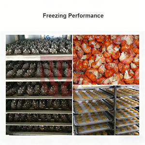 Congélateur électronique à congélation rapide pour aliments, fruits, crèmes, frites, pizzas, samosas, poissons – Armoire de congélation rapide - Product Image 5